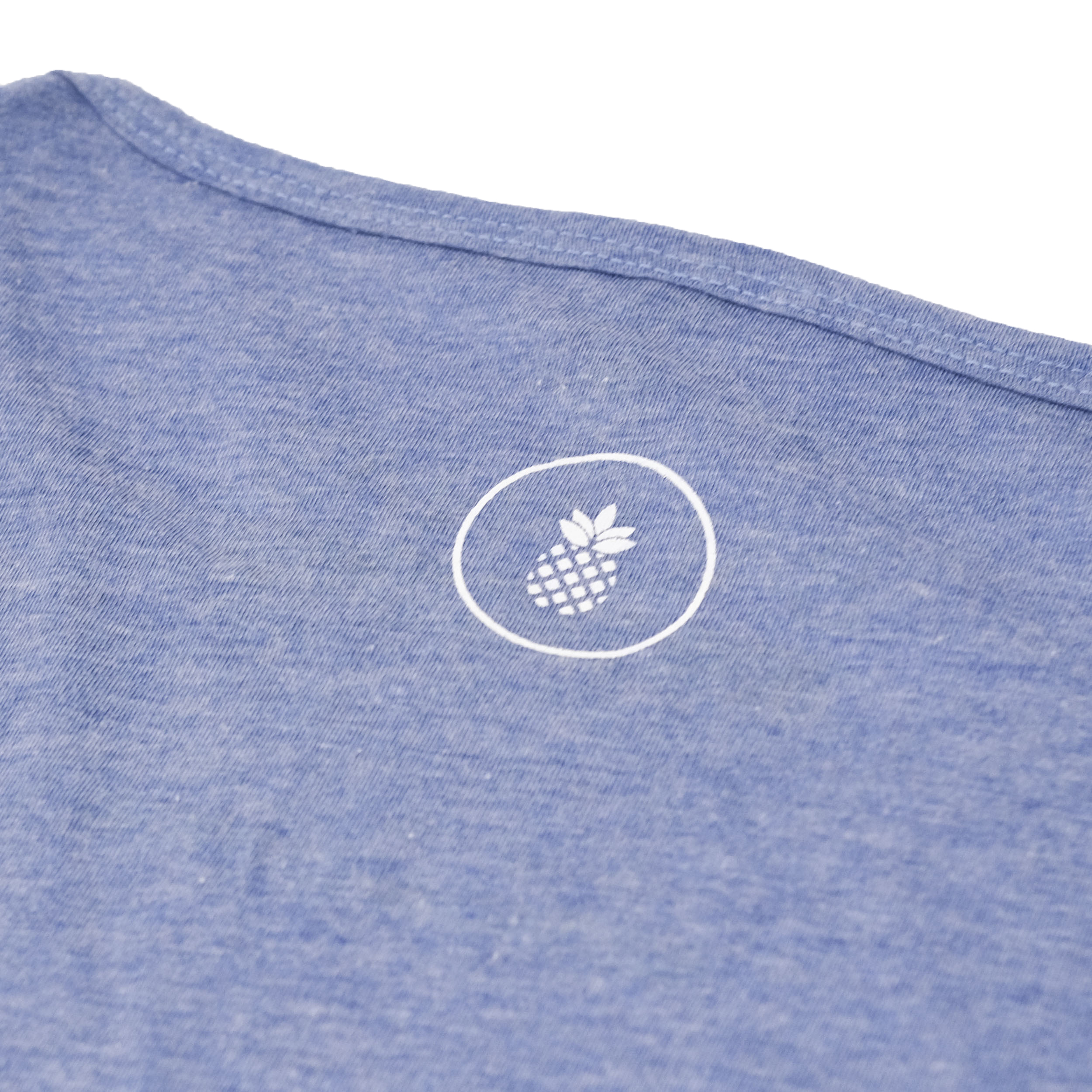 Cationic Painter Blue White