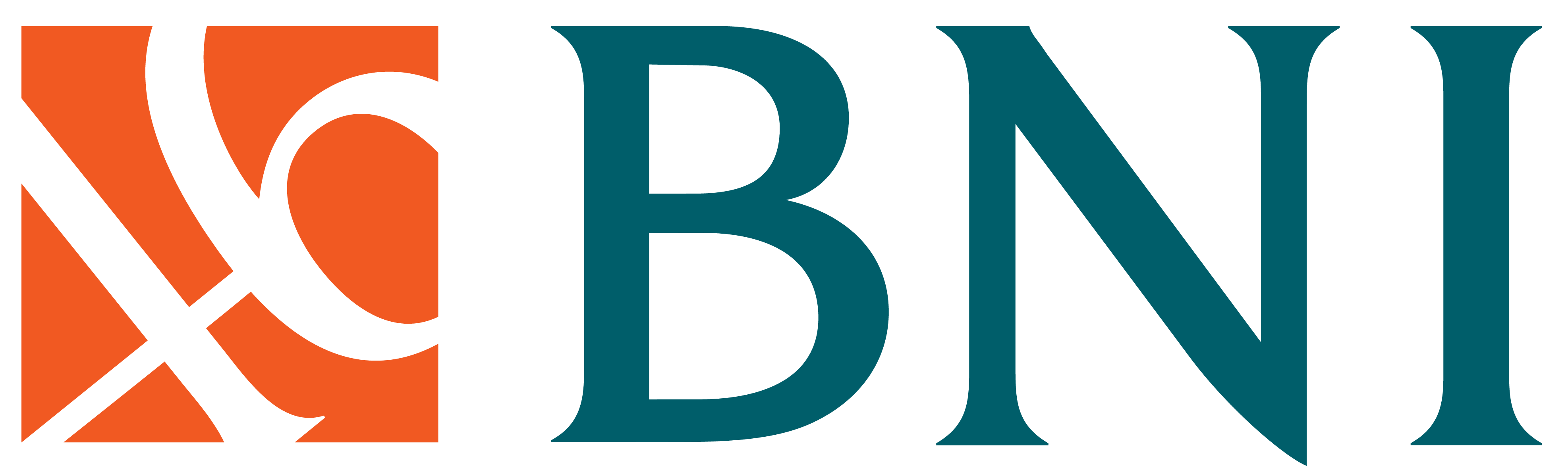 BNI VA
